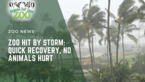 Zoo hit by storm