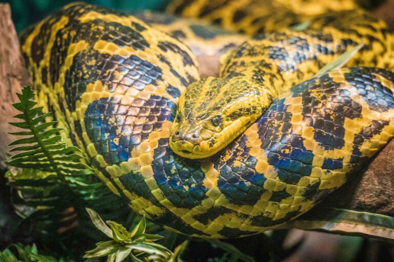 2021-12-02 Magic (MMR) (6)