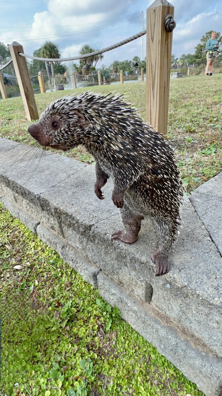 572C132B-3927-4A34-829A-22662B29FA78