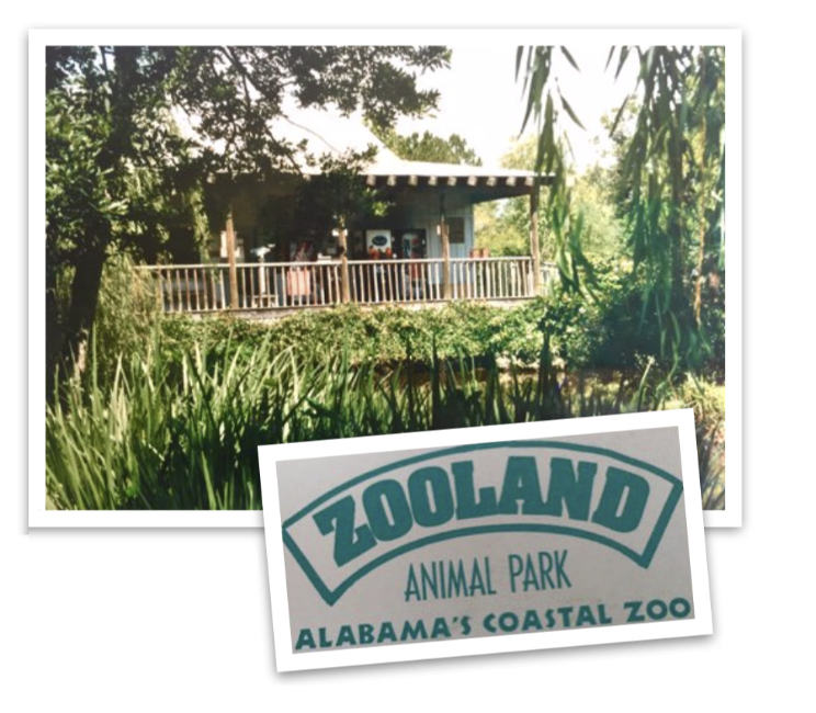 Gulf Coast Zoo History