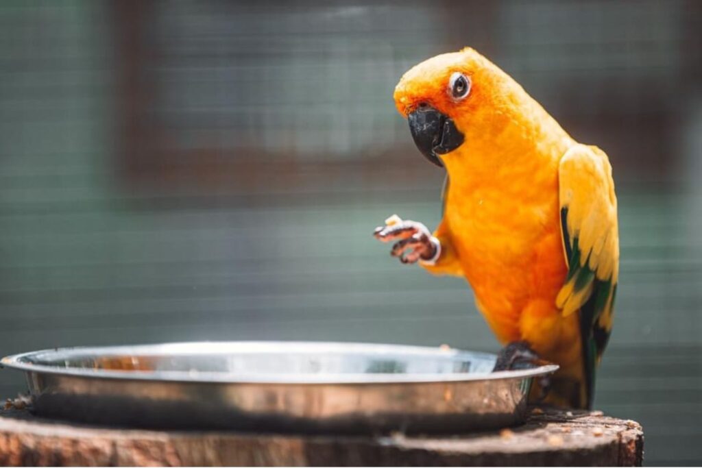 Frequently Asked Questions - Alabama Gulf Coast Zoo