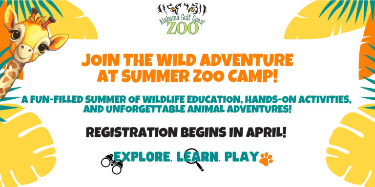 a white background with text and words