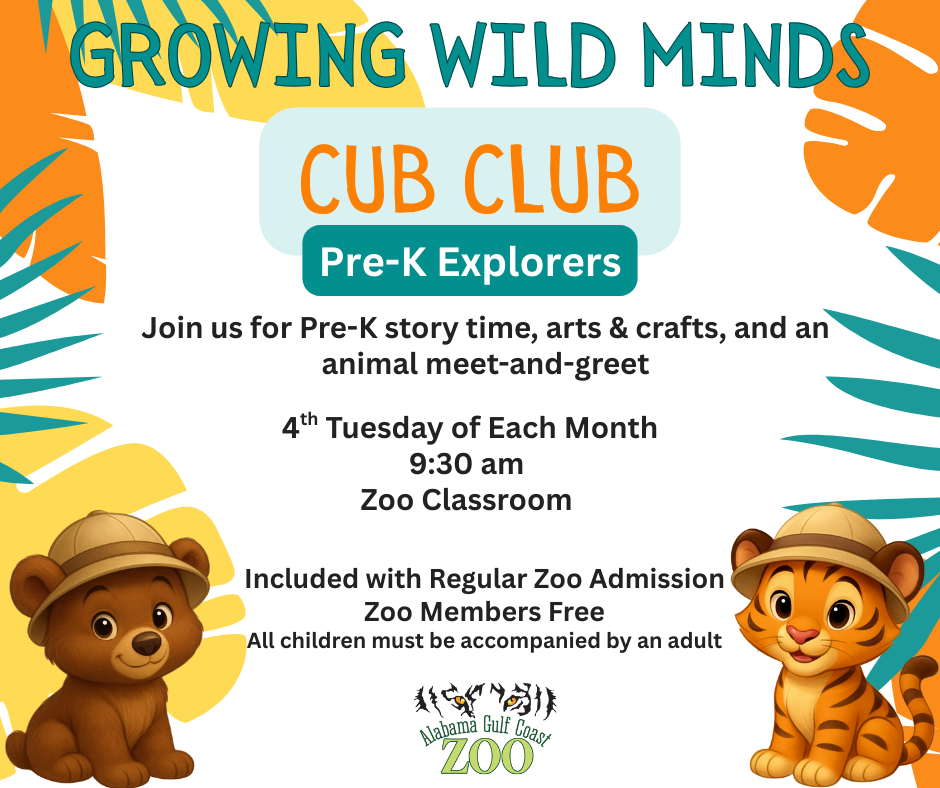 Cub Club (48 x 24 in) (3)