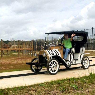 safari cars alabama gulf coast zoo